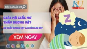 49. mo-thay-duong-vat (1)