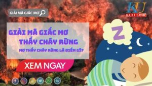 Mơ thấy cháy rừng