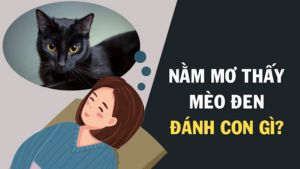 Nằm mơ thấy mèo đen đánh số mấy?