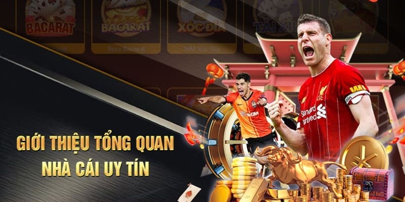 Giới thiệu về thương hiệu danh tiếng New88