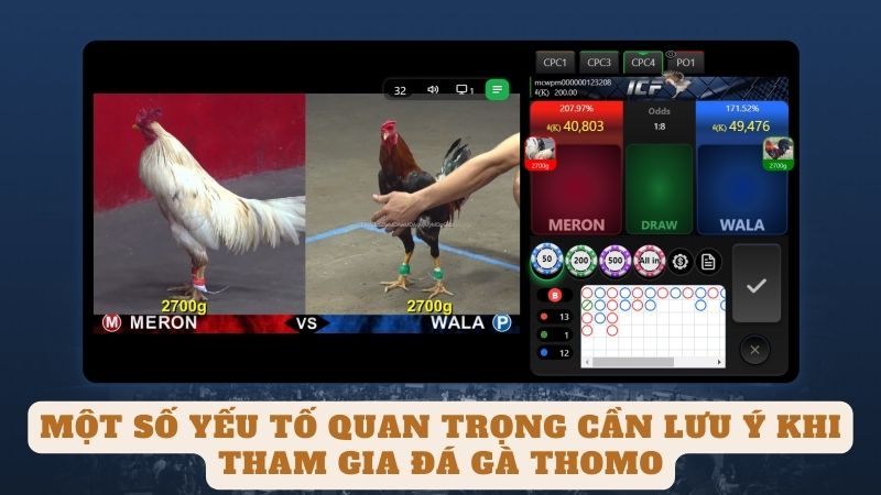 Một Số Yếu Tố Quan Trọng Cần Lưu Ý Khi Tham Gia đá gà Thomo