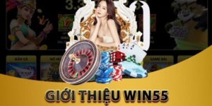 Giới thiệu tổng quan về sân chơi danh tiến WIN55