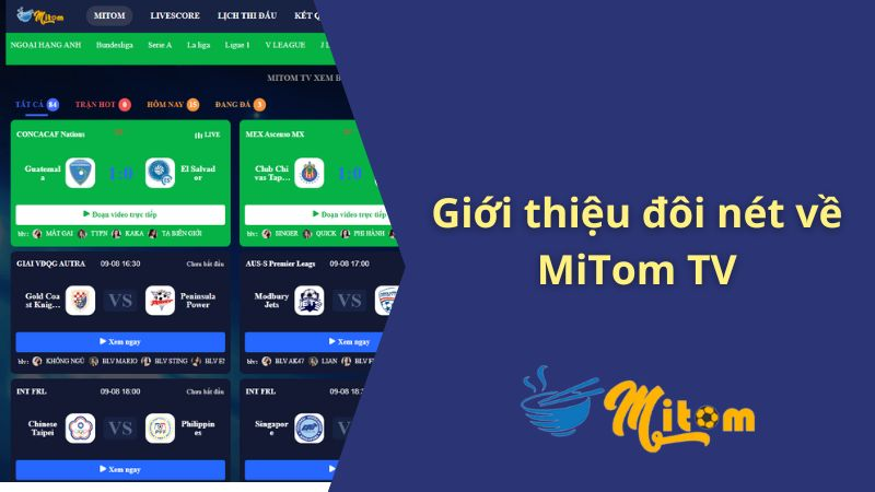 Thông tin sơ lược về kênh Mitom TV